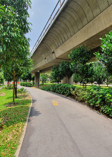 Bukit Batok Park Connector