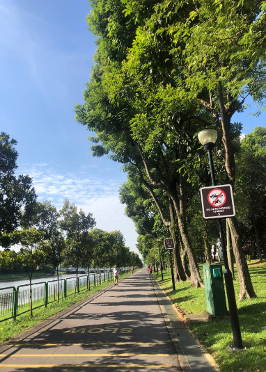 Pandan Gardens Park Connector